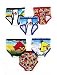 FRUIT OF THE LOOM 6-PACK ANGRY BIRD BOY BREIFS, ASSORTED, 4T