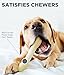 Petstages NewHide Alternative Dog Chew Toy, Large