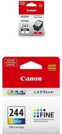 Amazon.com: Canon PG-245XL - Cartucho de tinta para Canon CL-244, color  negro