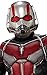 Rubies Marvel Ant-Man & The Wasp Deluxe Ant-Man Costume, Small