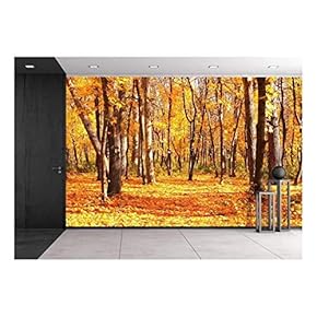 Beautiful Landscape - Road in Autumn Forest - Removable Wall Mural | Self-Adhesive Large Wallpaper - 66x96 inches
