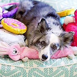 ZippyPaws - Jigglerz Tough No Stuffing Squeaky