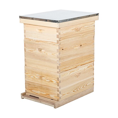 Single Deep Bee Box LETRA Bee Hive, 3 Layer Bees House Beekeeping Box with 10 Medium &20 ...