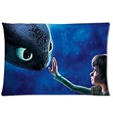 How To Train Your Dragon Pillow Case Cover Standard 16x24 (Two Sides) Zippered Pillowcase