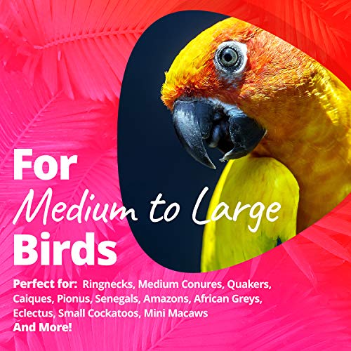 2 Super+Bird+Creations+Seagrass+Foraging