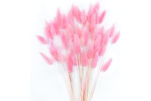 DTXMOH Pink Bunny Tails Dried Flowers 120 Stems, 17 inch Dried Lagurus Ovatus Rabbit Tail Grass Bunch for Floral Arrangement, Wedding, Party, Boho Home Decor and DIY Crafts