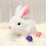 Bunny Toys Educational Interactive Toys Bunnies Can