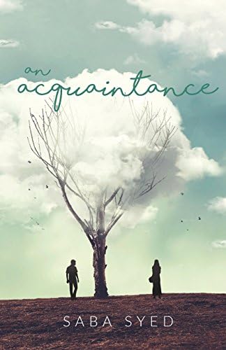An Acquaintance: 1 (Crossroads Novel)