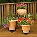 Akarden Plant Caddy Heavy Duty Plant Pot Move Plant Stand with Wheels (2 Pack)thumb 4
