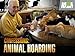 Confessions: Animal Hoarding Season 1
