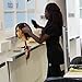 Wig Clamp - Swiveling Wig Head Styling Clamp with Adjustable Rotator - For Salon & Home Use - Brown - by Adolfo Design