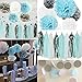 First Birthday Boy Decorations Baby Blue White Grey Baby Boy First Birthday Party Decorations Tissue Paper Pom Pom Tassel Garland Circle Garland for Gey Elephant Baby Shower Decorations Boy