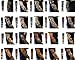 Bundle Monster 20pc Fake Temporary Tattoo Sleeves Body Art Arm Stockings Accessories - Designs Tribal, Dragon, Skull, and Etc.