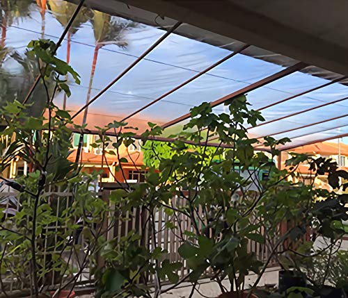 View 3