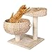 Pedy Cat Tree with Scratching Post, Sisal-Covered Climbing Cat Tower, Cat Activity Tree with Paper Rope and Cat Tree House with Perch, 2 Story Cat Condo Great for Kitten