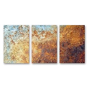 NWT Canvas Wall Art Abstract Iron Rusty Painting...