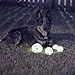 Chew King Glowing Fetch Ball, Dog Ball Toys, Ball Combo