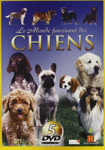 Le Monde Fascinant Des Chiens