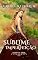 Livro Sublime Imperfeição (Tempo de Amar Livro 1)