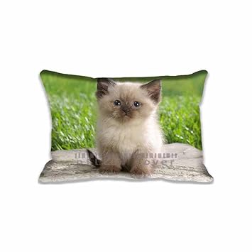 Amazon Com 16x24inch Sweet Siamese Cat Pillow Cushion Cases