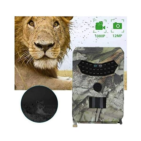 MICHAELA BLAKE Jagd-Hinterkamera, HD 1080P Deer Feeder-Nachtsicht-Aufnahme LEDs Jagd Foto Fallen Wildwasserdichtes… – Bild 4