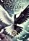 Livro COLIBRI: A Profecia