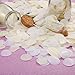 Shappy 1 Inch White Ivory Round Tissue Confetti for Wedding Parties, 6000 Pieces