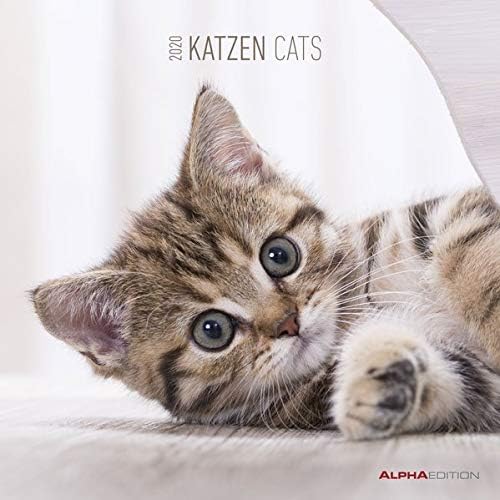 Download Calendario da muro 30x30 cm cats 2020 PDF