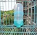 Jim-Hugh Bird Feeding Feeder Automatic Drinker Food Container Pigeons Water Dual Use Parrot Pet Suppliesthumb 2
