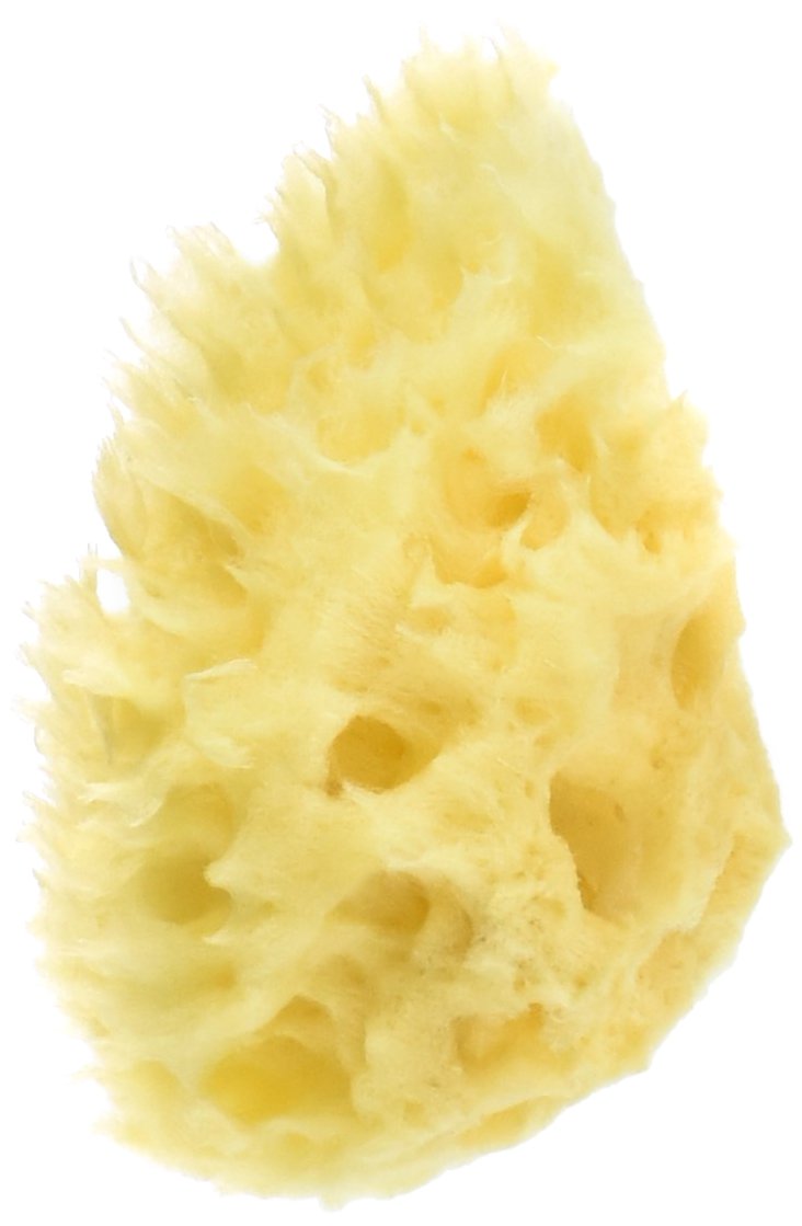 ベッタ (Betta) ベビーハニカム海綿商品画像