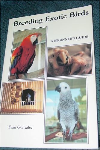 breeding parrots for beginners