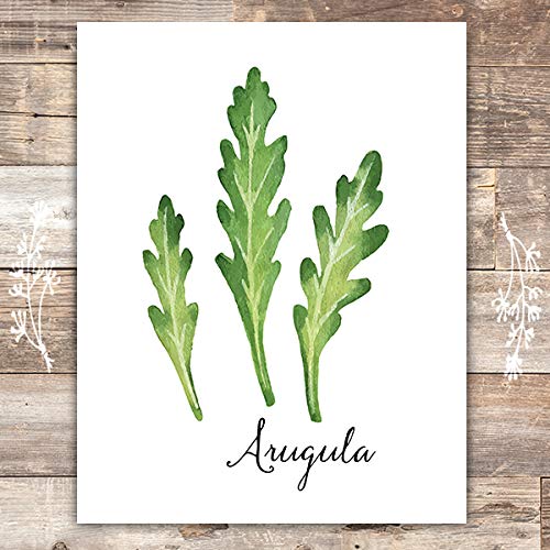 Kitchen Herbs Art Prints (Set of 6) - Unframed - 8x10s | Botanical Prints Wall Art - Thumbnail 4