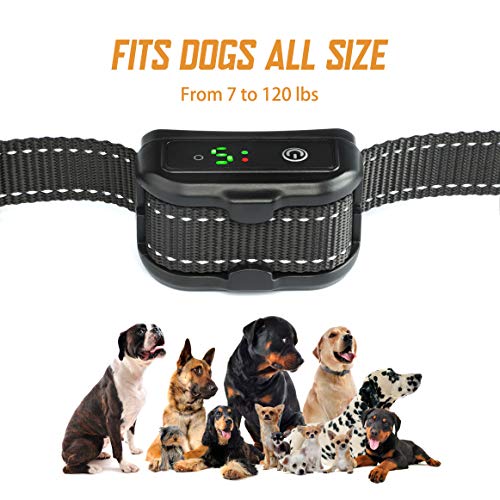 bark collar for maltese