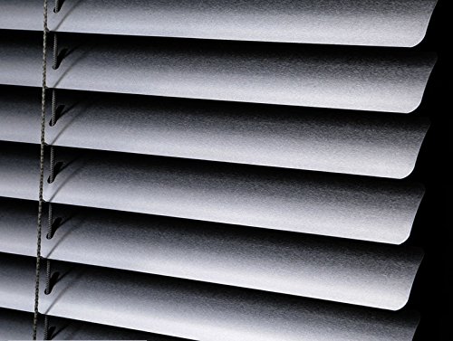 PASSENGER PIGEON Aluminum Blackout Light Filter Blinds Horizontal Custom-Made Water Rust Proof Fire Resistant Window Mini Blinds,1 Inch Slats,21" W x 64" L,Silver