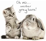 Grey Hares! Birthday Card