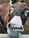 Donkey Lovers 100 page Journal: Large notebook journal with 3 yearly calendar pages for 2019, 2020 and 2021 Makes an excellent gift idea for birthdays or any special occasion by Rochester Press, Dawn O'Connor