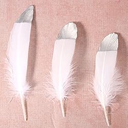 THARAHT 60pcs White Goose Feathers Natural Bulk 6-8