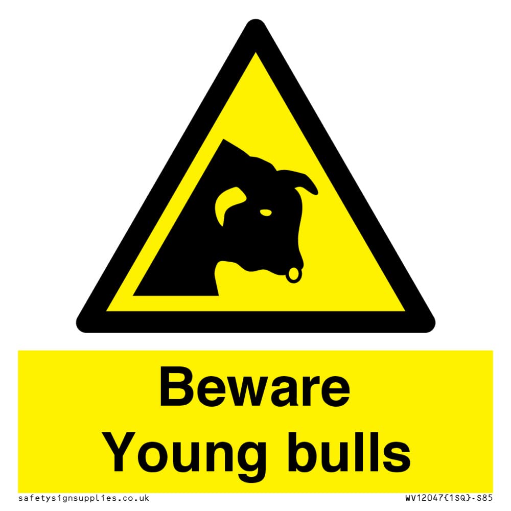 Beware Young bulls Sign - 85x85mm - S85