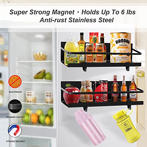LITINEE Spice Rack for Refrigerator, 2 Pack Shelves
