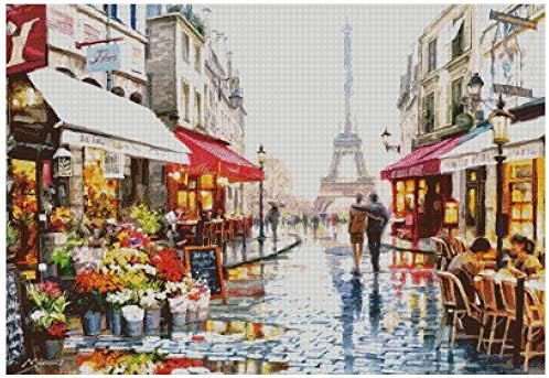 Visiting Paris, big counted cross stitch kit,14ct aida fabric,400 * 276 stitch,72x54cm,super big cotton cross stitch kits