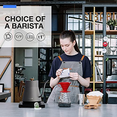 POLIVIAR Electric Gooseneck Kettle, 1200W Electric Tea Kettle w/teak