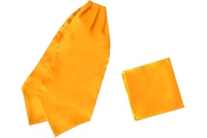 Dan Smith Solid Party Day Cravat Feel Silk Cravat Tie Ascot Assorted Pack Plain