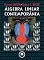 Livro Álgebra Linear Contemporânea