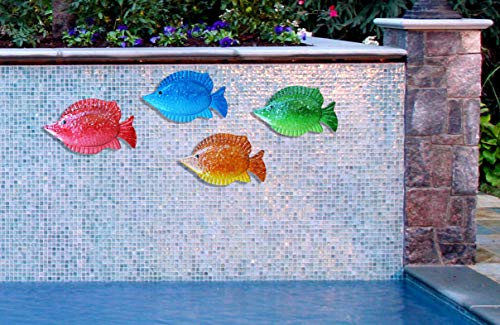 51BjW3hjYeL 51BjW3hjYeL