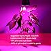 30W LED Grow Light Bulb for Indoor Plants, Grow Bulbs Full Spectrum Grow Lights for Growing Plants Lamp, Vegetables and Flowers, Plant Growing Lights Bulbs for Hydroponics Greenhouses Gardening