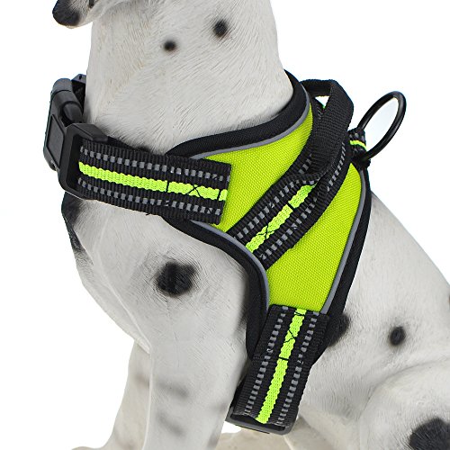 Mile High Life Dog Vest Harness 3M Reflective Safety Band Green Orange Black Color Options Small Lime