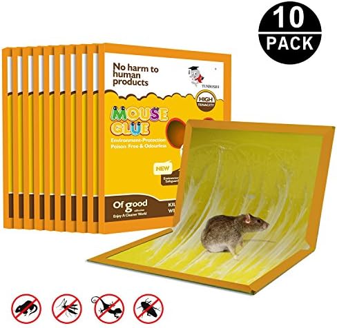 Mouse trap, Mouse Glue Boards, Mouse Glue Traps, JCHOPE Mouse Size Glue Traps Sticky Boards, Professional Strength Glue (10 Pack)
