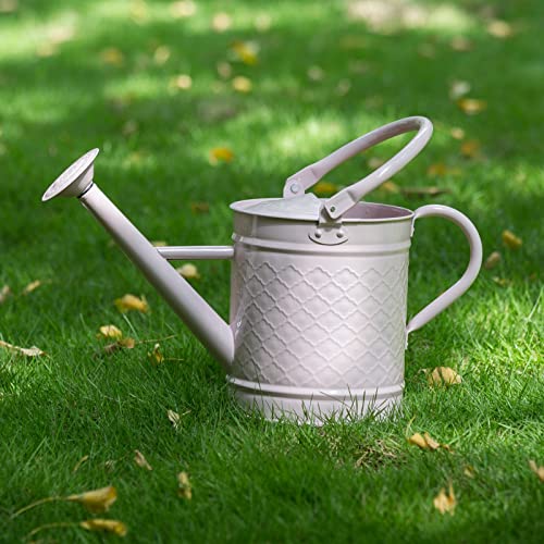 HORTICAN 1 Gal Galvanized Steel Watering Can Decorative Farmhouse Style Watering Can, Removable