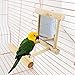 qsbai Bird Stand Platform Toys Mirror Shelf for Birds Parrots climp Playing Swingthumb 1