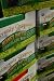 Heavenly Organics Honey Pattie Chocolate Mint -- 40 Patties